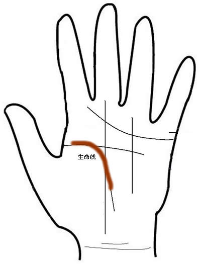 教你自己看手相